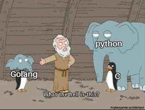 boot.dev first Go Course completed